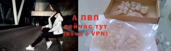 spice Аркадак