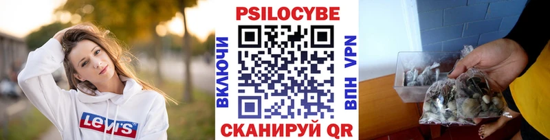 закладки Боровск Галлюциногенные грибы MAGIC MUSHROOMS